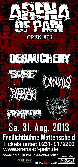 Arena Of Pain