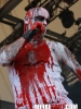 Primordial