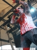 Primordial