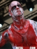Primordial