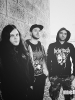 Orphalis